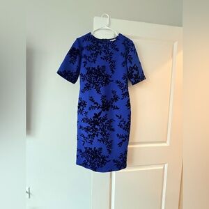 Olivia Matthews Royal Blue Shift Dress with Black Floral Velvet Print